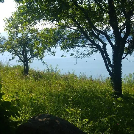 Ferien Auf Dem Weingut