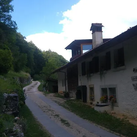 Ferien Auf Dem Weingut