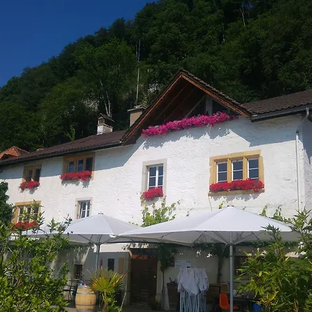 Ferien Auf Dem Weingut