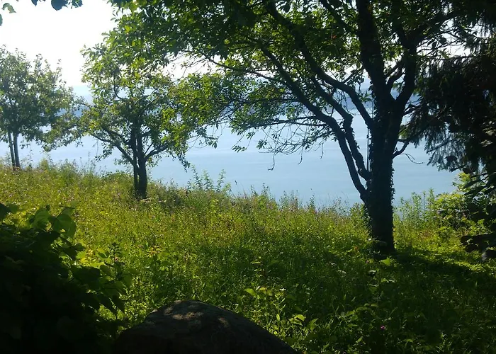 Ferien Auf Dem Weingut