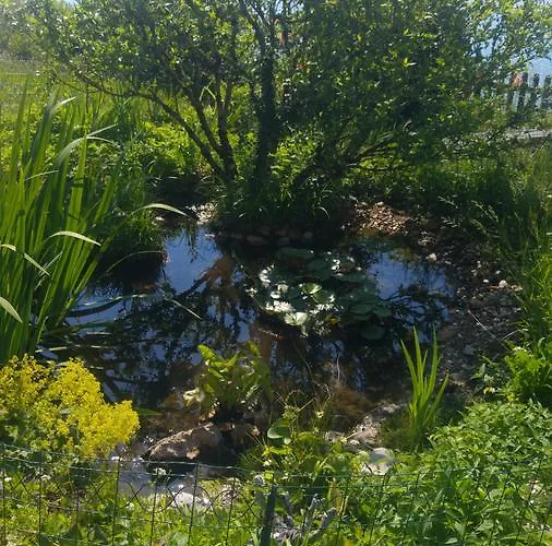 Ferien Auf Dem Weingut דירה *