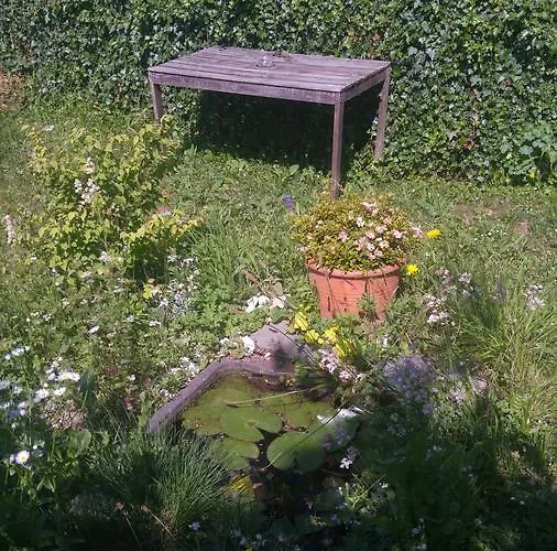 Ferien Auf Dem Weingut *