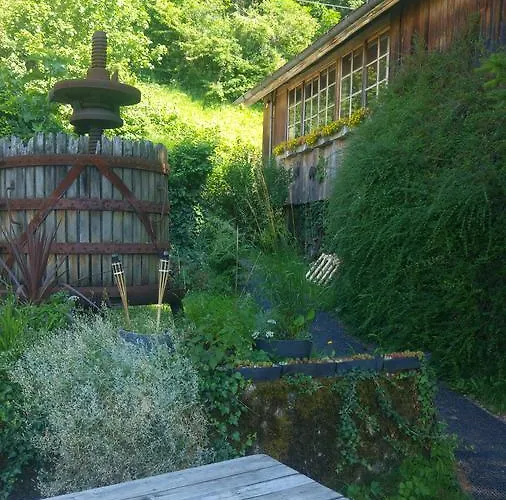 Ferien Auf Dem Weingut *