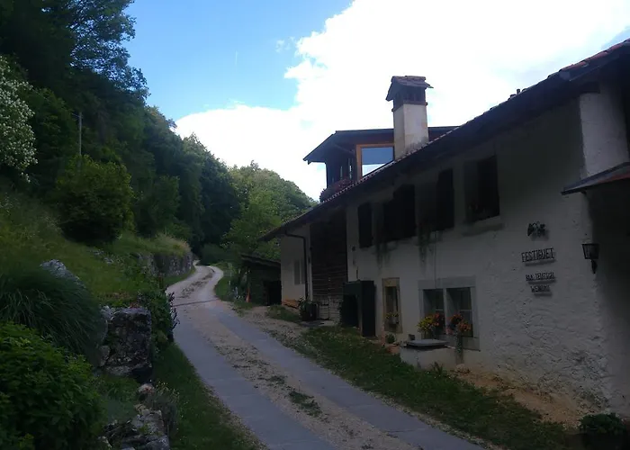Ferien Auf Dem Weingut