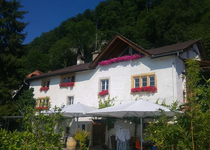 Ferien Auf Dem Weingut