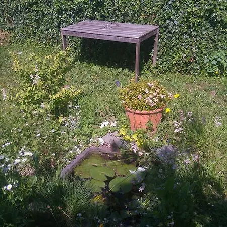 Ferien Auf Dem Weingut *